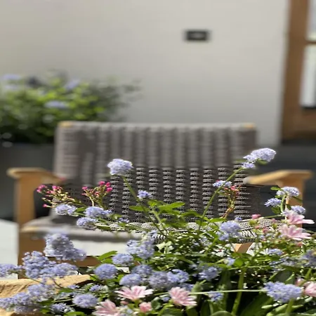 In Near Lift 바그라인